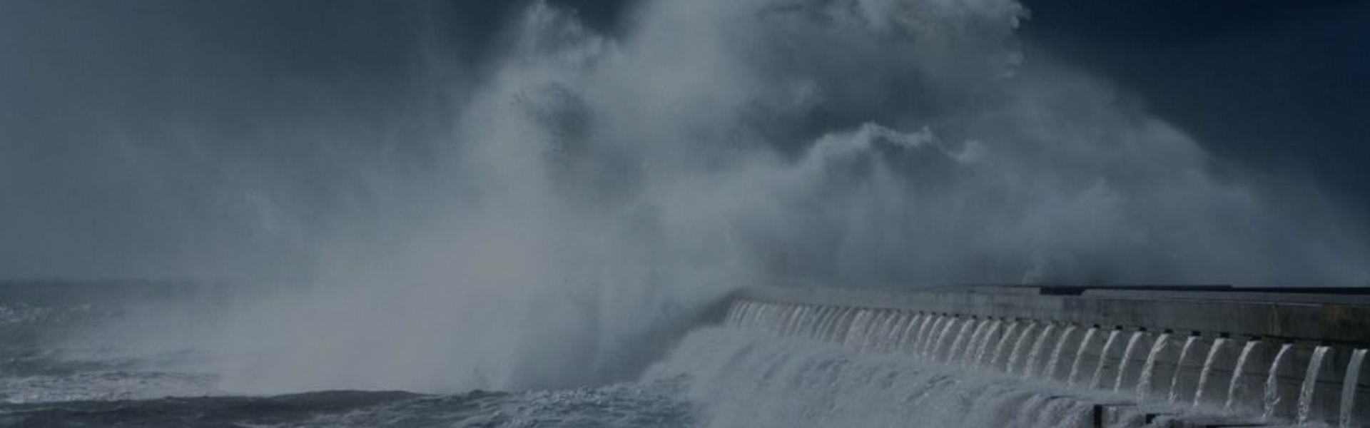 NewFlag Technology Co., Ltd