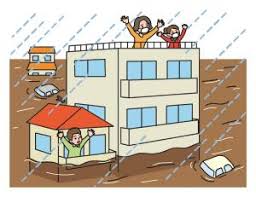 1735528002640417.jpg images (2).jpg